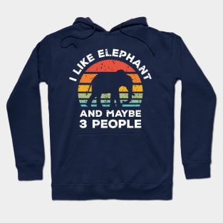 I Like Elephant and Maybe 3 People, Retro Vintage Sunset with Style Old Grainy Grunge Texture Hoodie